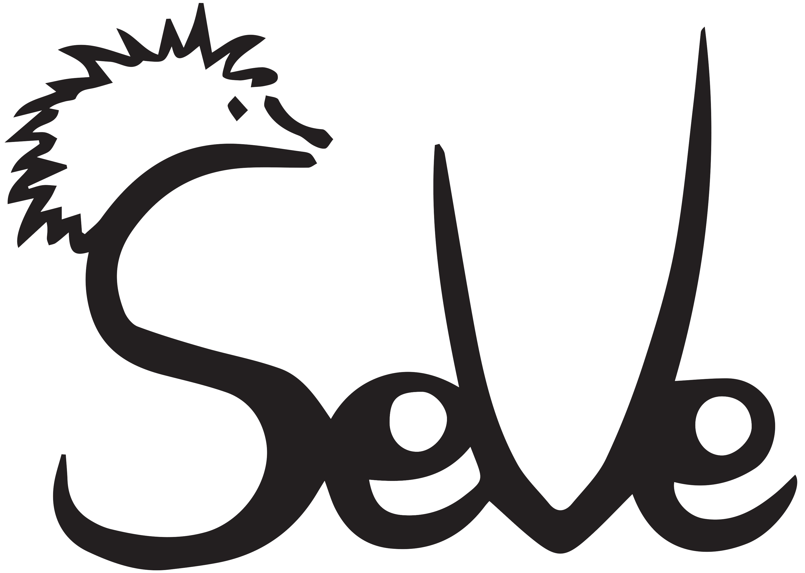 Photo d'un événement organisé par SEVE devant EVE